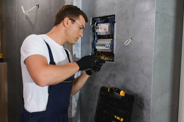 Best Electric Panel Repair  in Lakesite, TN